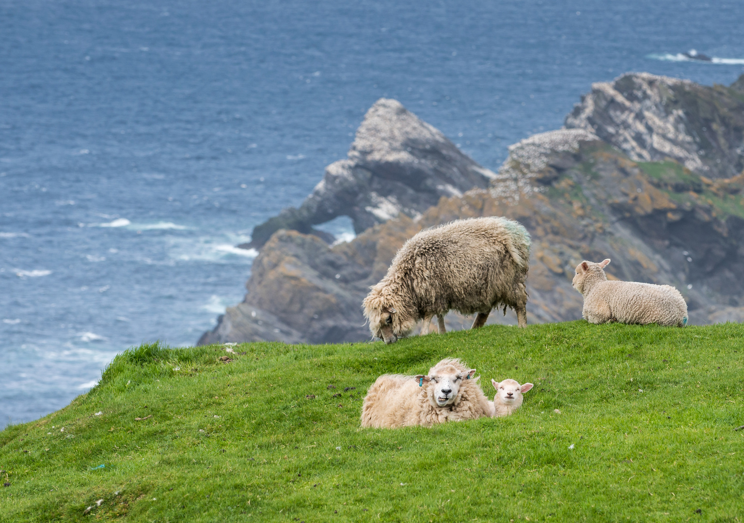 Unst ... we live at the end of the world