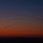 Unstimmigkeiten an der Führungsspitze