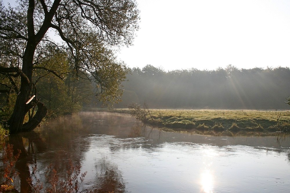 unten am Fluss