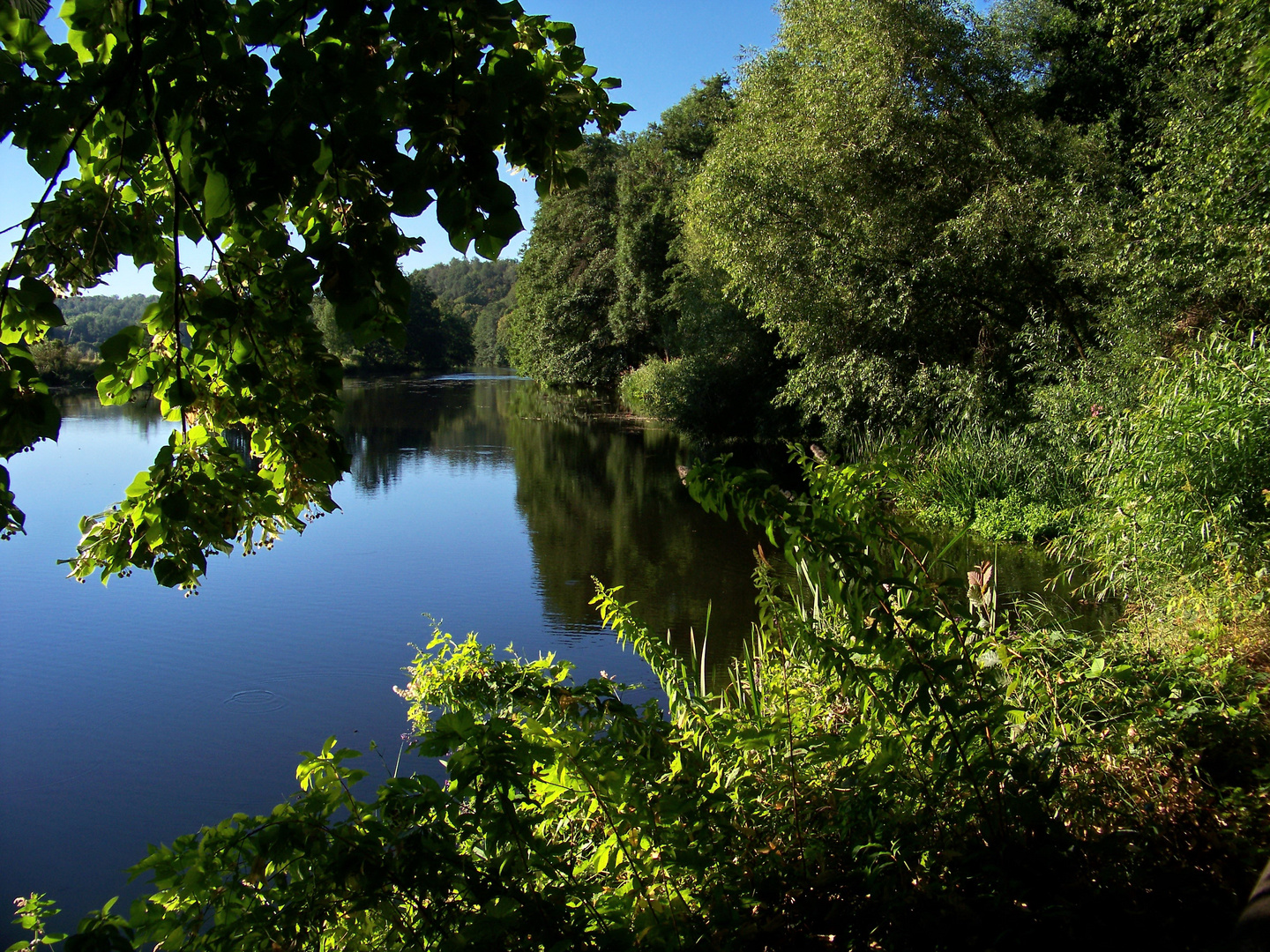 unten am Fluss