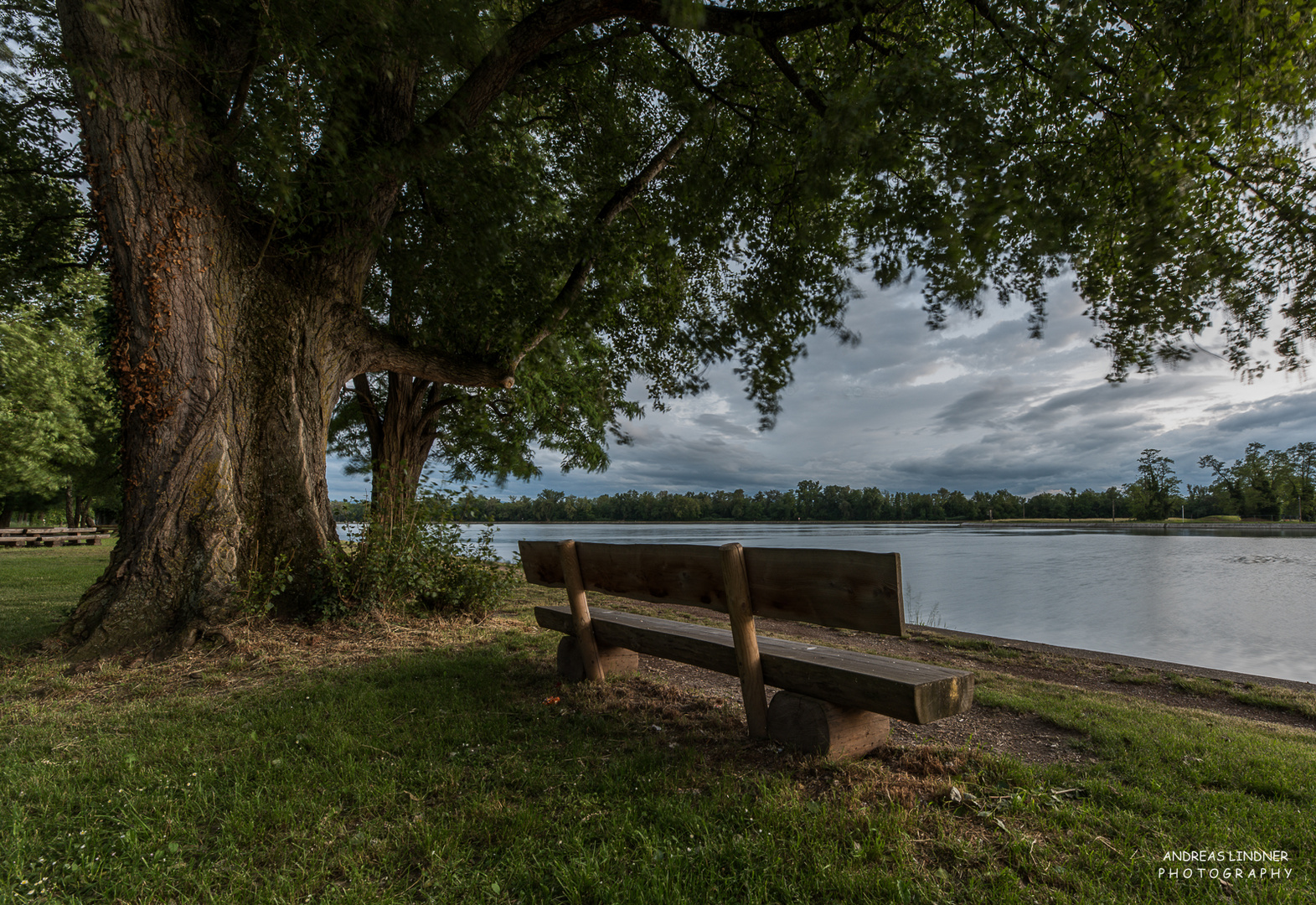 Unten am Rhein 1