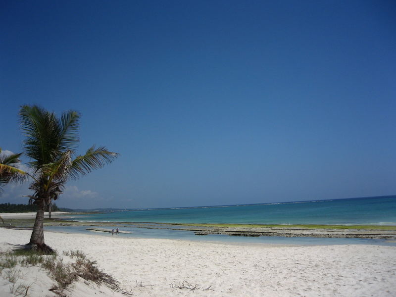 unten am Strand muss die Freiheit wohl grenzenlos sein