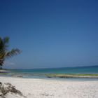 unten am Strand muss die Freiheit wohl grenzenlos sein