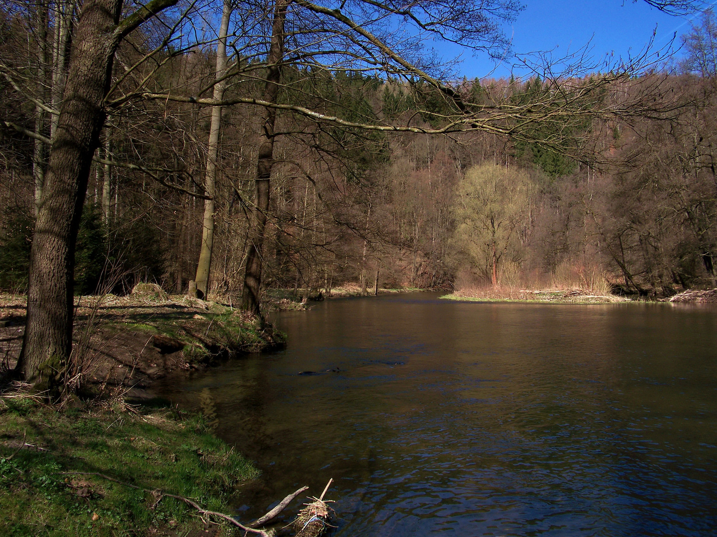 unten an der Zschopau