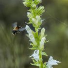 Unten bereits ausgesaugt, oben schon ertragreich?