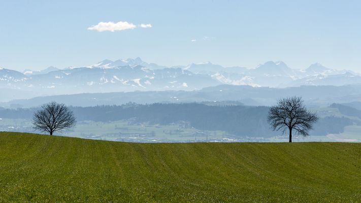 unten Frühling, oben Winter