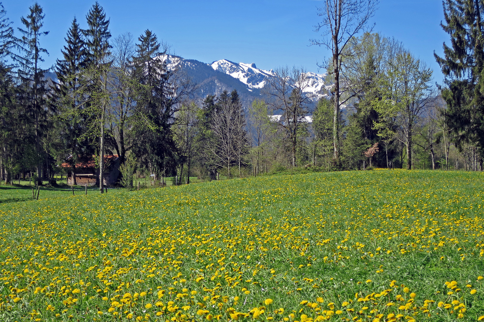 Unten frühlingshaft, ganz oben noch winterlich