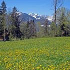 Unten frühlingshaft, ganz oben noch winterlich