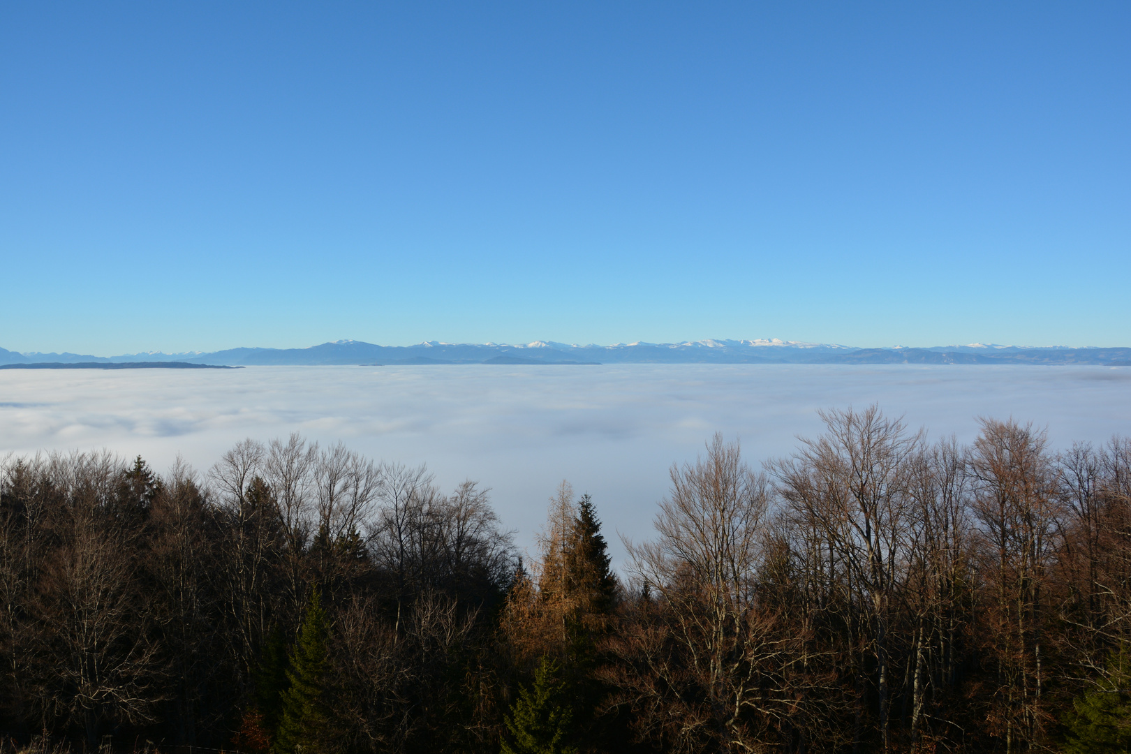 Unten grau, oben blau