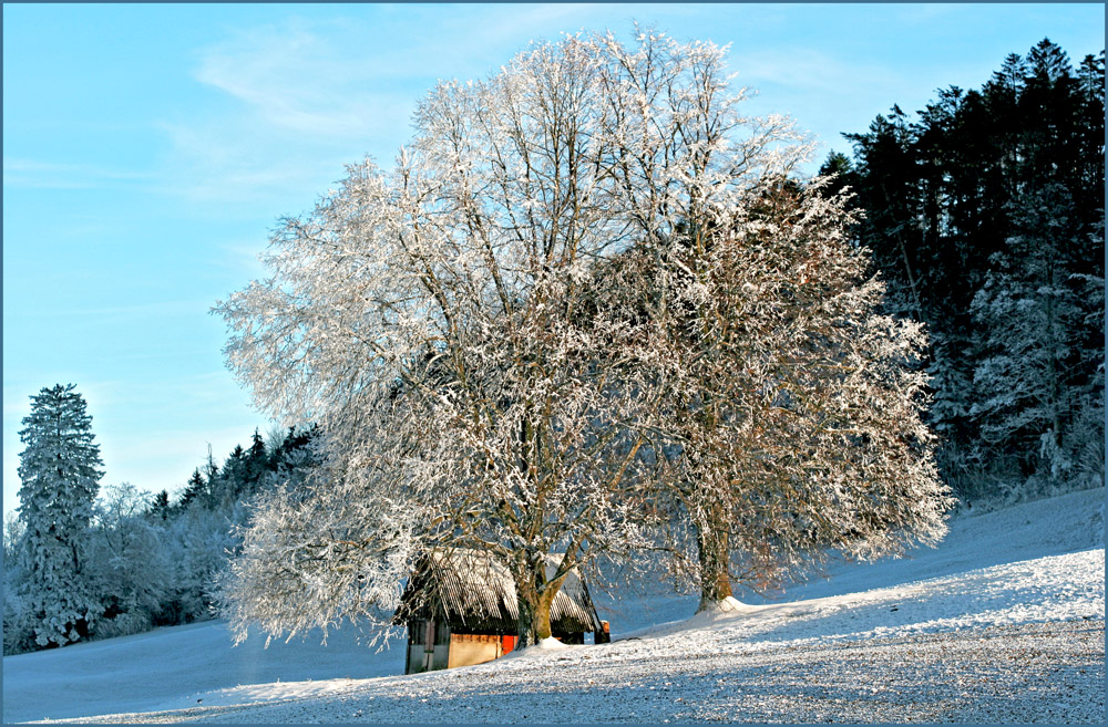 Unten grau oben blau 6