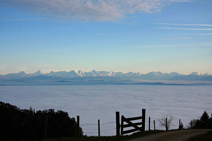 Unten Grau, oben Blau.