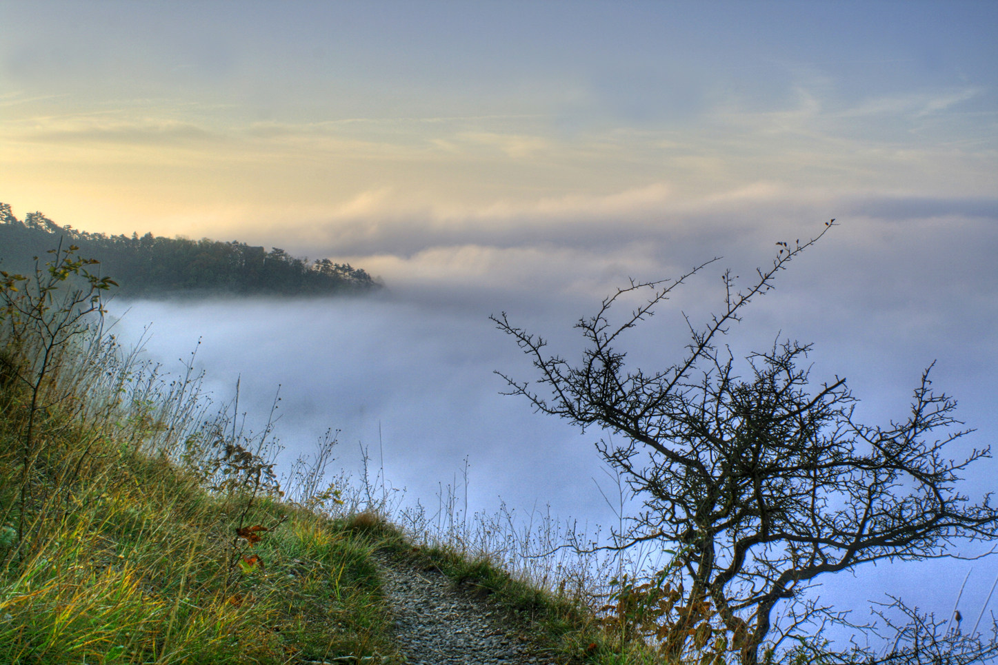 Unten im Tal