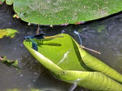Unten im Wasser.....