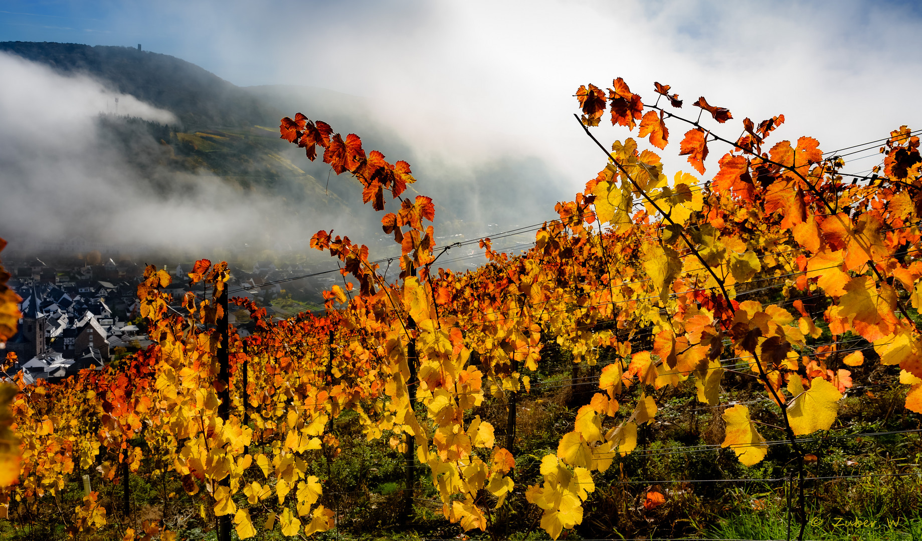 Unter aufsteigendem Herbstnebel ...