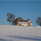 Unter blauem Himmel