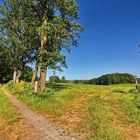 Unter blauem Himmel