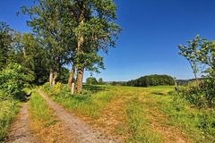 Unter blauem Himmel