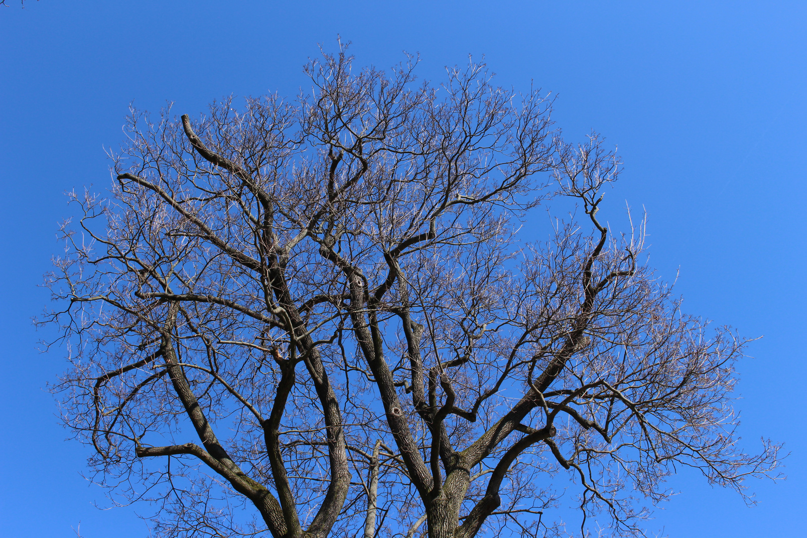 Unter blauem Himmel