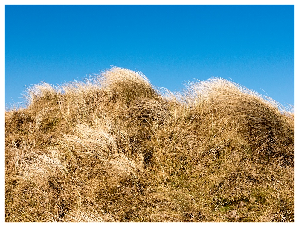 Unter blauem Himmel