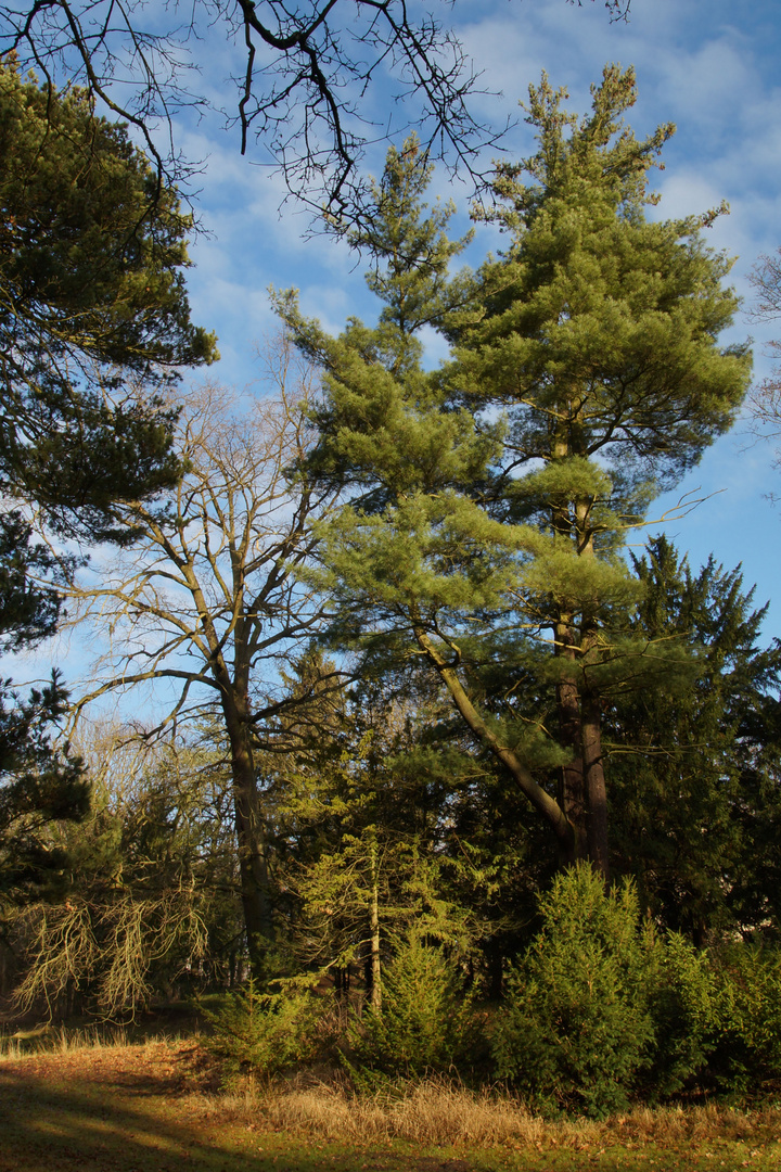 Unter blauem Himmel wandeln