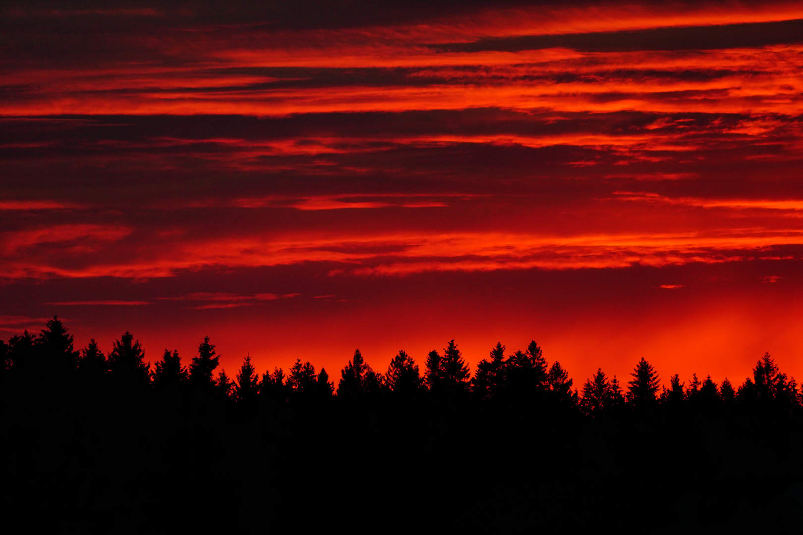 Unter blutrotem Himmel von Mark Sullivan