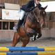 Reitsport 2011