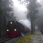 Unter Dampf im Harz