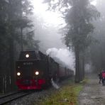 Unter Dampf im Harz