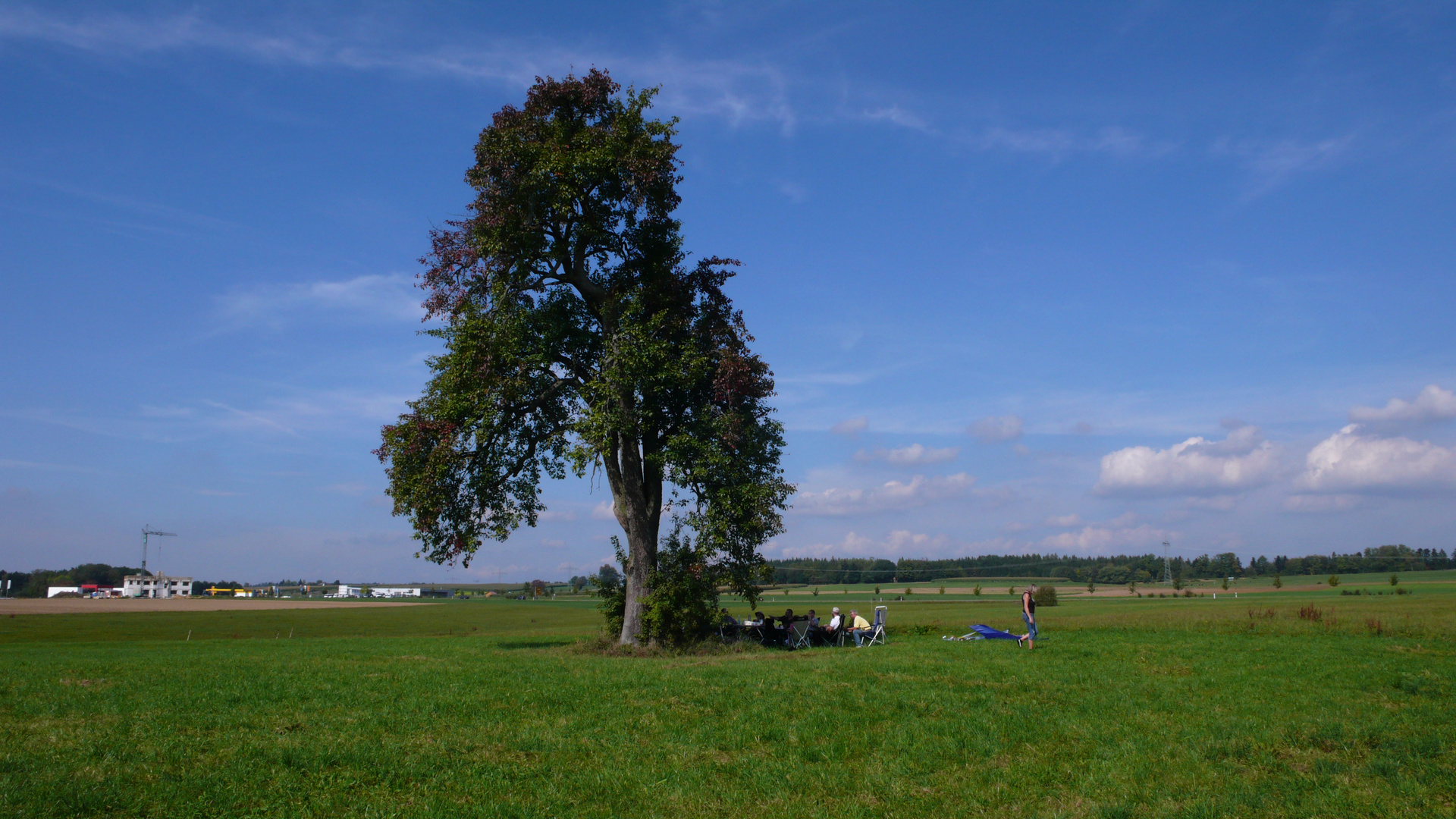 Unter dem alten Birnbaum