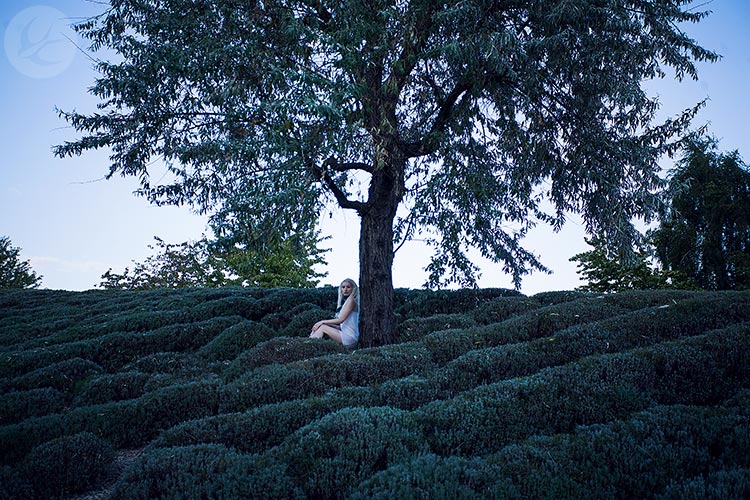 Unter dem Baum