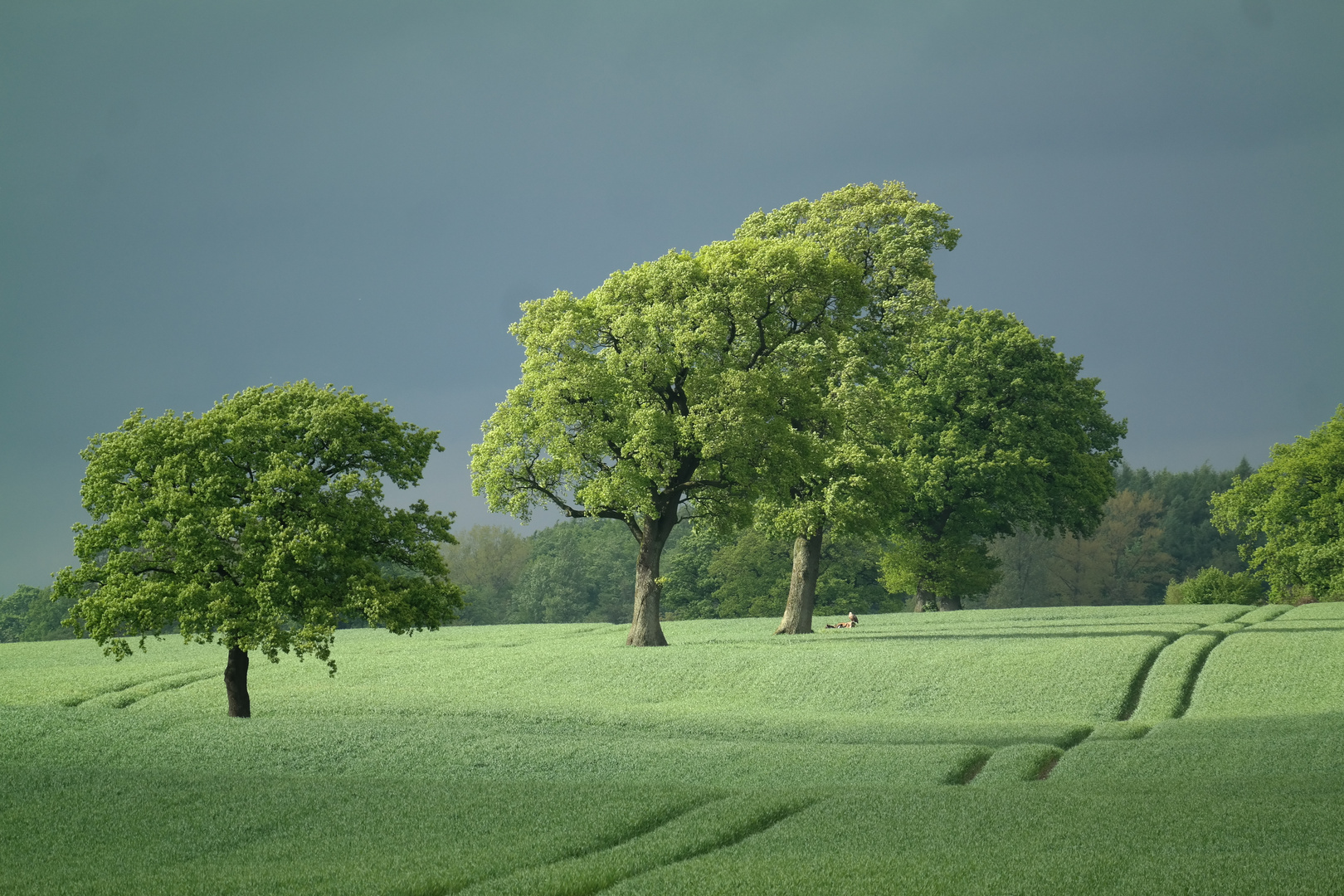 Unter dem Baum sitzt...