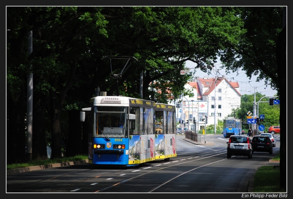 Unter dem Blätterdach