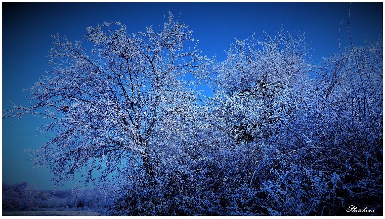 Unter dem blauen Himmel