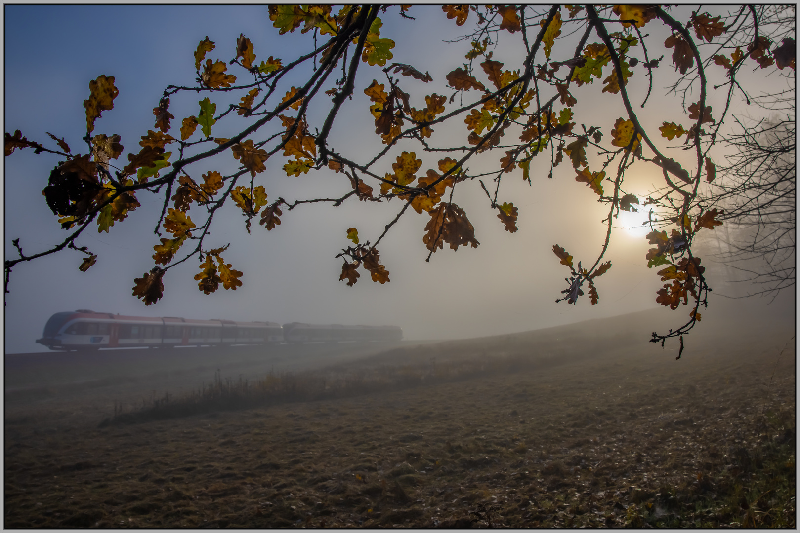 Unter dem Herbstlaub