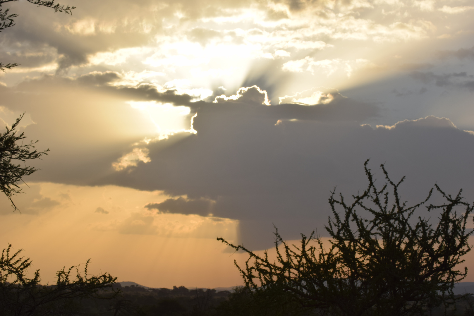 Unter dem Himmel Afrikas