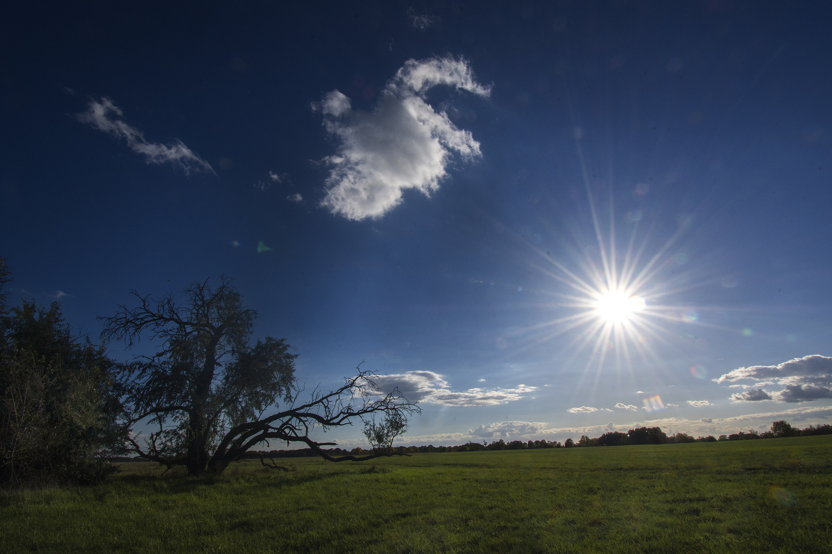 Unter dem hohen Himmel