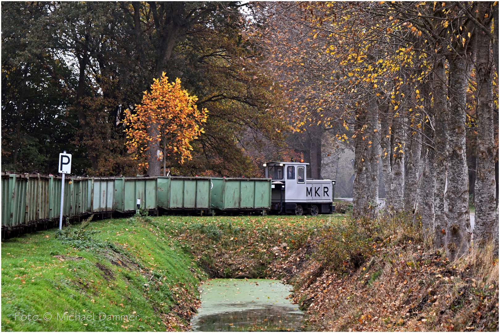 Unter dem letzten Herbstlaub