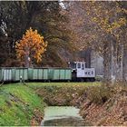 Unter dem letzten Herbstlaub