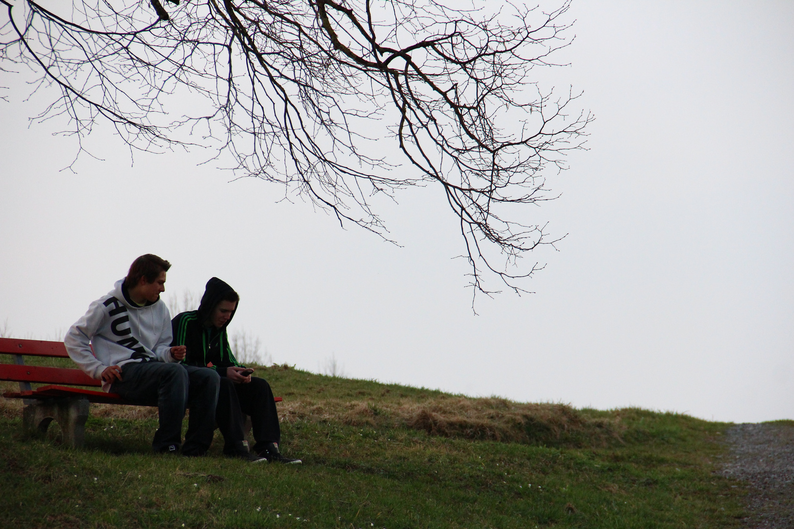 unter dem Lindenbaum