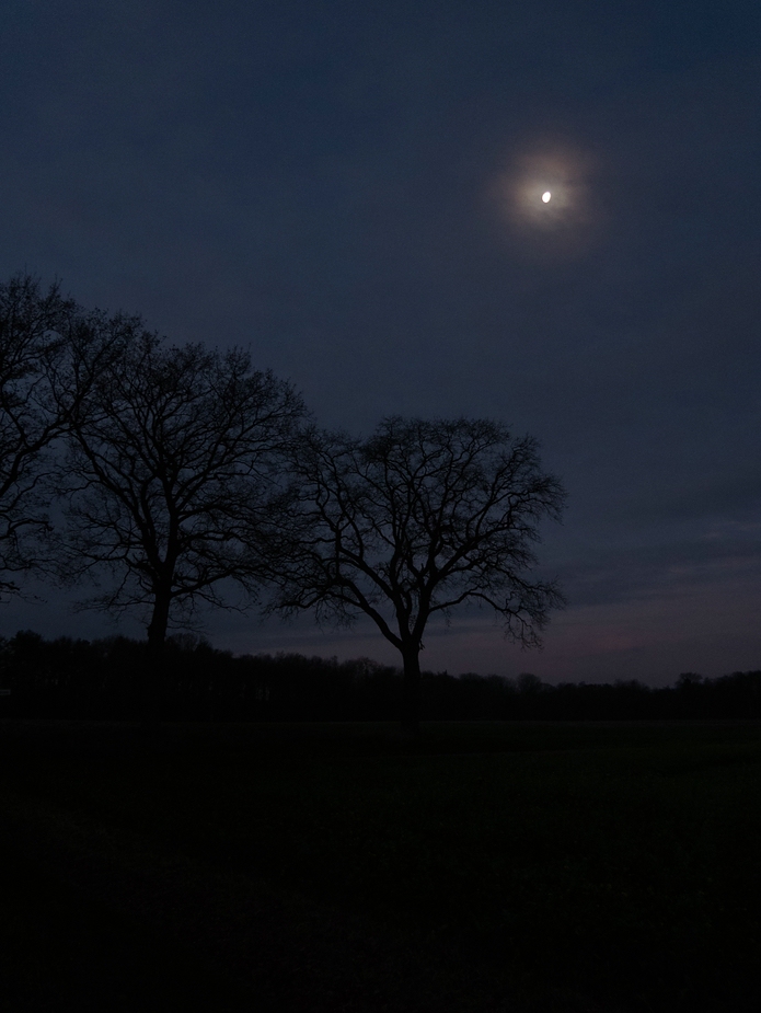 Unter dem Mond von Gildehaus