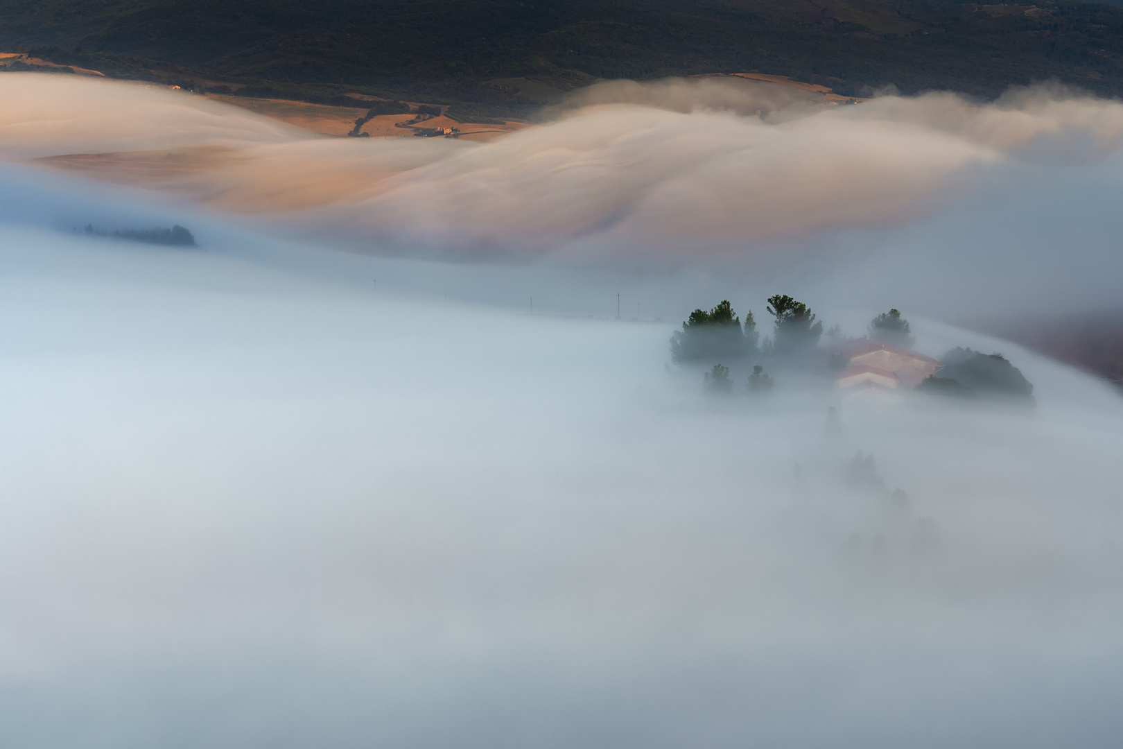 Unter dem nebel