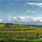 Unter dem Oktober-Himmel