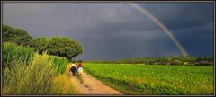 Unter dem Regenbogen