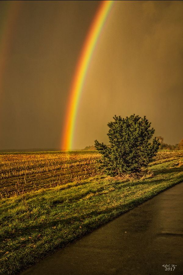 Unter dem Regenbogen