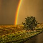 Unter dem Regenbogen