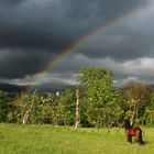 Unter dem Regenbogen...