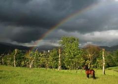 Unter dem Regenbogen...