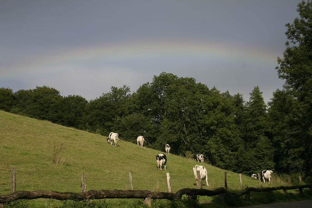 Unter dem Regenbogen