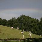 Unter dem Regenbogen