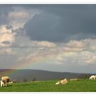 Unter dem Regenbogen.....